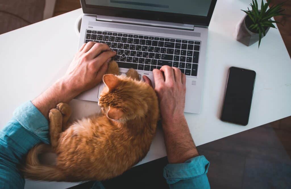 Translation industry statistics - a huge percentage of the translation workforce are working from home