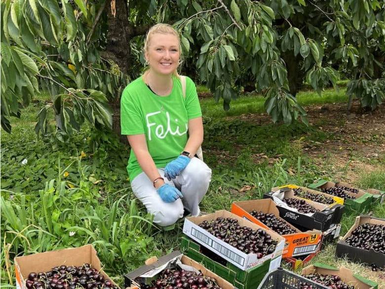 A Maverick volunteering, picking fruit for The Felix Project